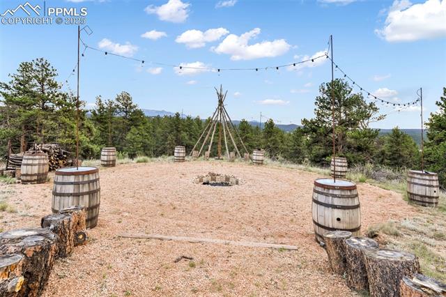 MLS Image for 1701  Wildhorn  ,Florissant, Colorado