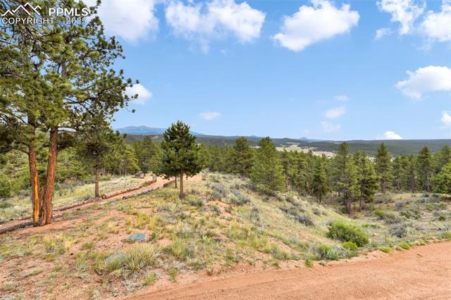 MLS Image for 1701  Wildhorn  ,Florissant, Colorado