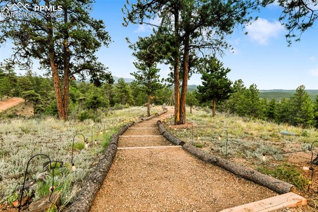 MLS Image for 1701  Wildhorn  ,Florissant, Colorado