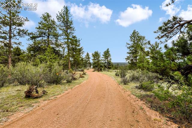 MLS Image for 1701  Wildhorn  ,Florissant, Colorado