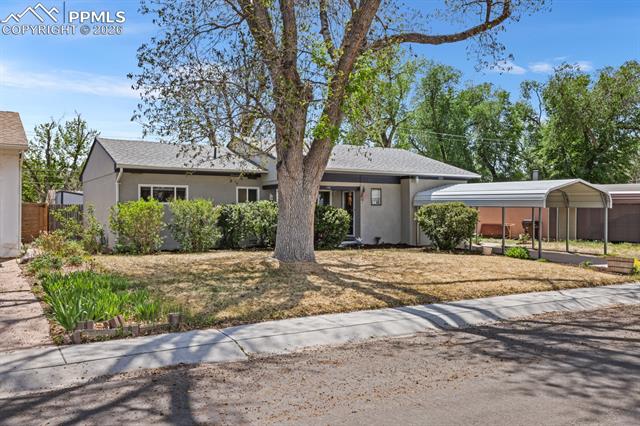 MLS Image for 145  Rose  ,Colorado Springs, Colorado