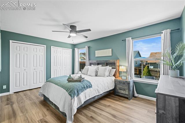 MLS Image for 8358  Firethorn  ,Colorado Springs, Colorado