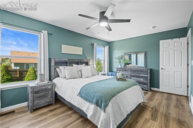 MLS Image for 8358  Firethorn  ,Colorado Springs, Colorado