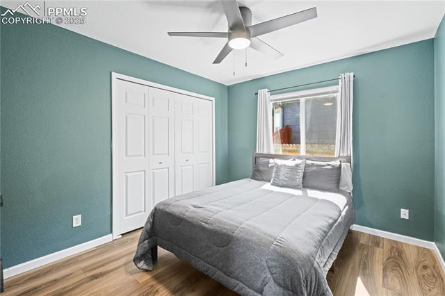 MLS Image for 8358  Firethorn  ,Colorado Springs, Colorado