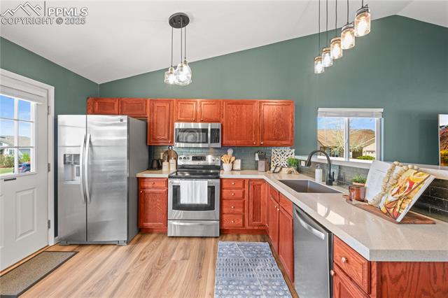 MLS Image for 8358  Firethorn  ,Colorado Springs, Colorado
