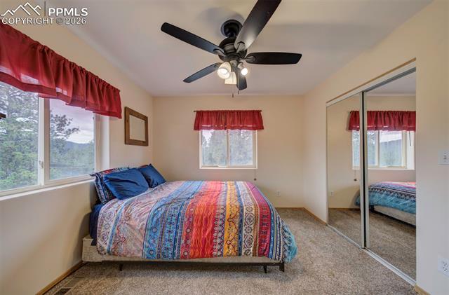 MLS Image for 34  Fetlock  ,Florissant, Colorado