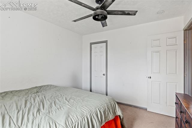MLS Image for 2246  Bison  ,Colorado Springs, Colorado