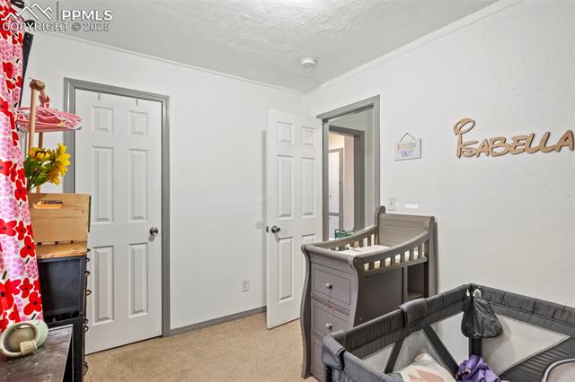 MLS Image for 2246  Bison  ,Colorado Springs, Colorado