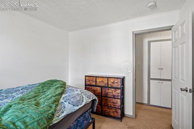 MLS Image for 2246  Bison  ,Colorado Springs, Colorado