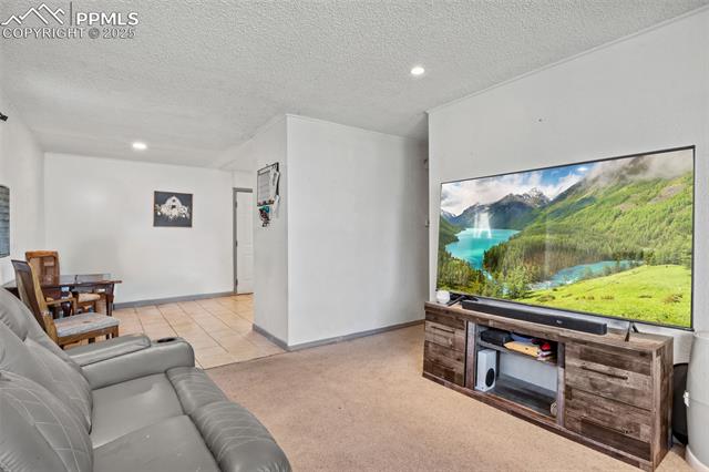 MLS Image for 2246  Bison  ,Colorado Springs, Colorado