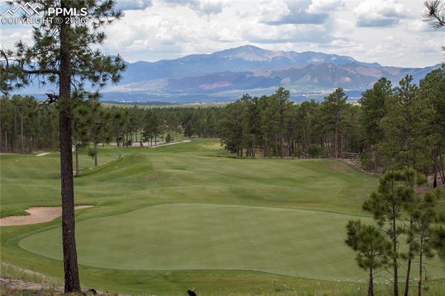 MLS Image for 13010  Penfold  ,Colorado Springs, Colorado