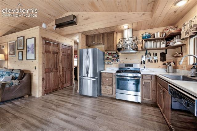 MLS Image for 126  Aspen  ,Divide, Colorado