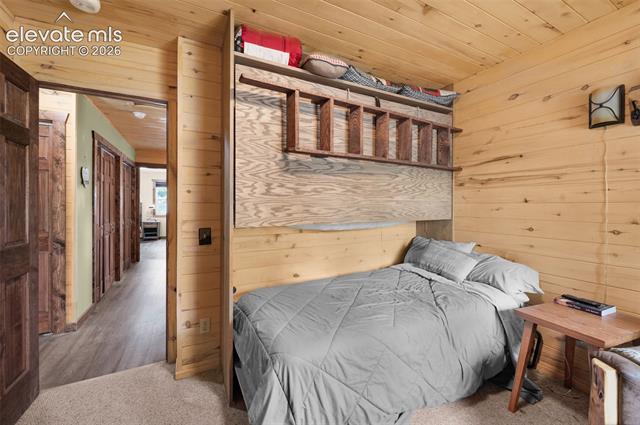 MLS Image for 126  Aspen  ,Divide, Colorado