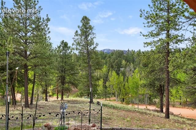 MLS Image for 126  Aspen  ,Divide, Colorado