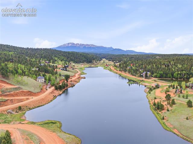 MLS Image for 126  Aspen  ,Divide, Colorado