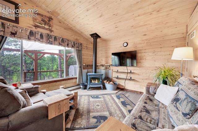 MLS Image for 126  Aspen  ,Divide, Colorado