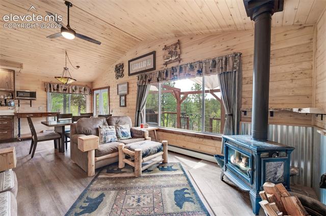 MLS Image for 126  Aspen  ,Divide, Colorado