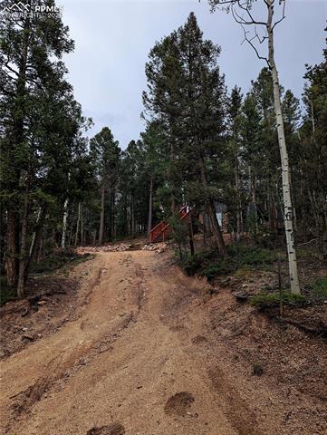 MLS Image for 40  Flathead  ,Woodland Park, Colorado