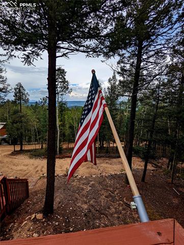 MLS Image for 40  Flathead  ,Woodland Park, Colorado