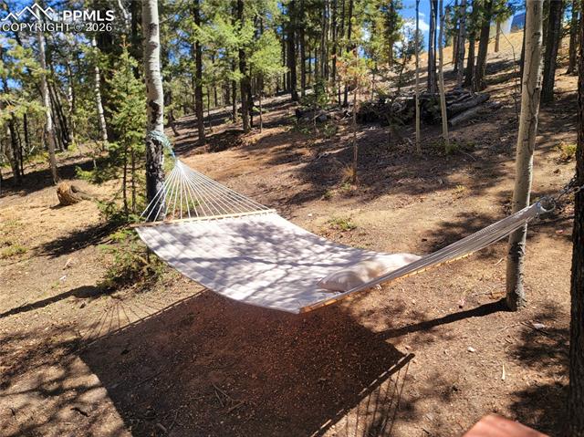 MLS Image for 40  Flathead  ,Woodland Park, Colorado