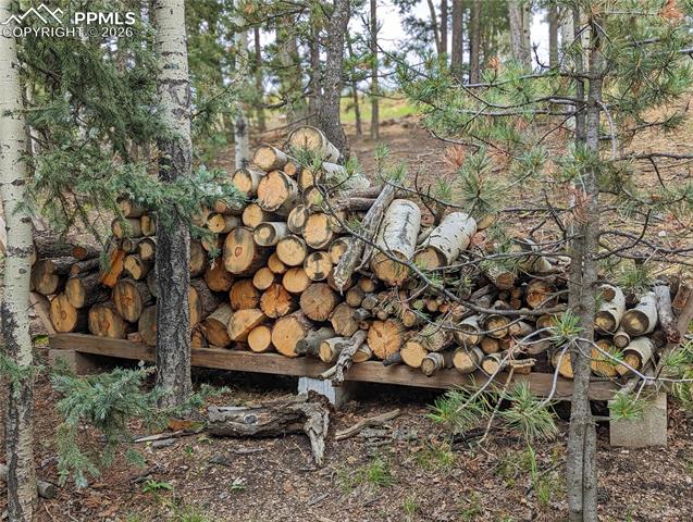 MLS Image for 40  Flathead  ,Woodland Park, Colorado