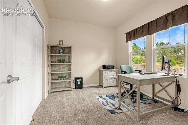 MLS Image for 177  Homeland  ,Colorado Springs, Colorado
