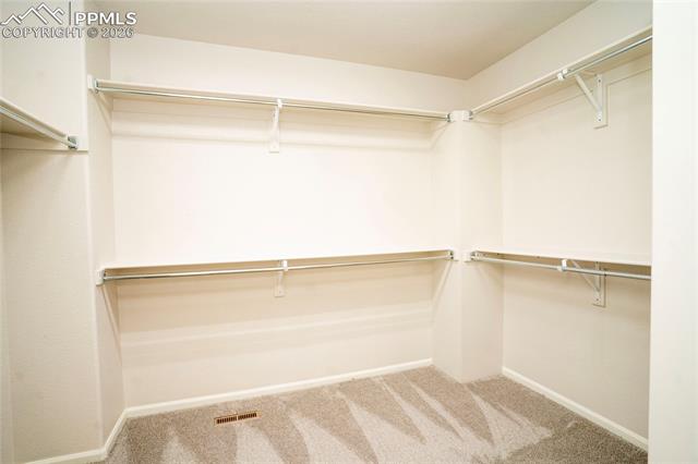 MLS Image for 8361  Colorado Spruce  ,Colorado Springs, Colorado