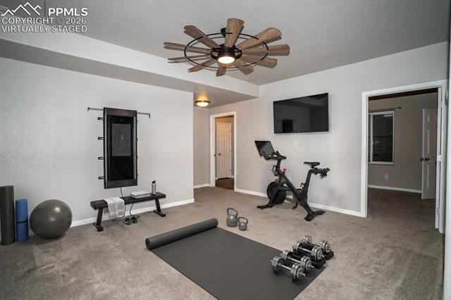MLS Image for 8361  Colorado Spruce  ,Colorado Springs, Colorado