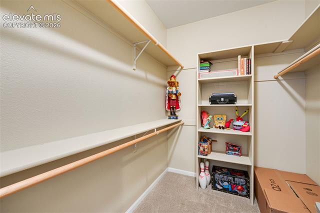 MLS Image for 20452  Kenneth Lainer  ,Monument, Colorado