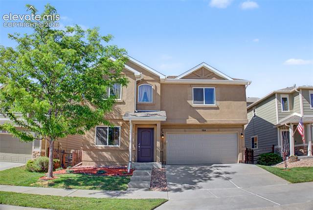 984  Diamond Rim  , colorado springs&nbsp; House Search MLS Picture