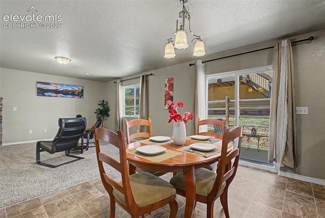 MLS Image for 984  Diamond Rim  ,Colorado Springs, Colorado