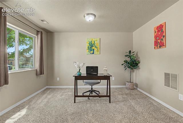 MLS Image for 984  Diamond Rim  ,Colorado Springs, Colorado