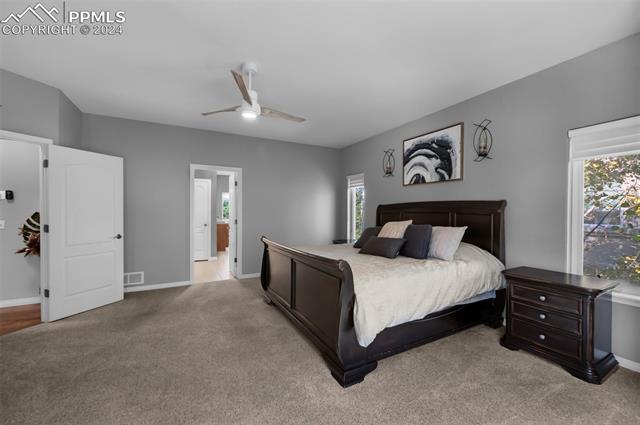 MLS Image for 20379  Kenneth Lainer  ,Monument, Colorado