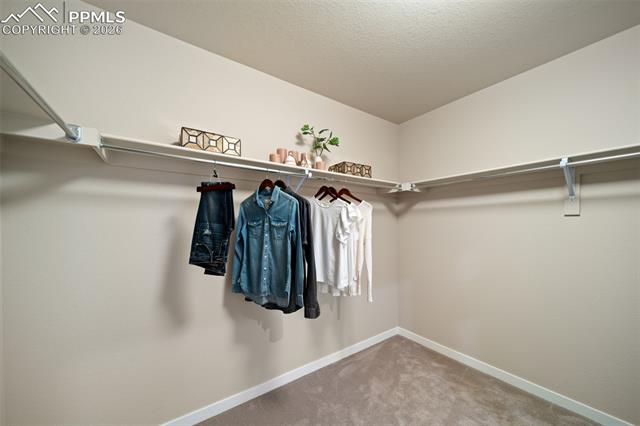 MLS Image for 4984  Eddleman  ,Colorado Springs, Colorado