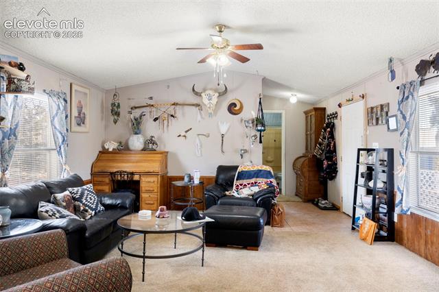 MLS Image for 171  Star View  ,Divide, Colorado
