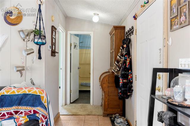 MLS Image for 171  Star View  ,Divide, Colorado