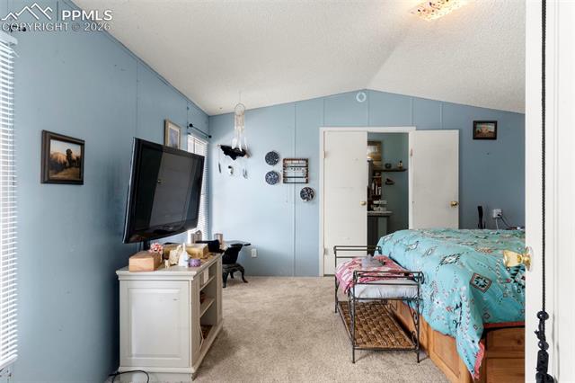 MLS Image for 171  Star View  ,Divide, Colorado