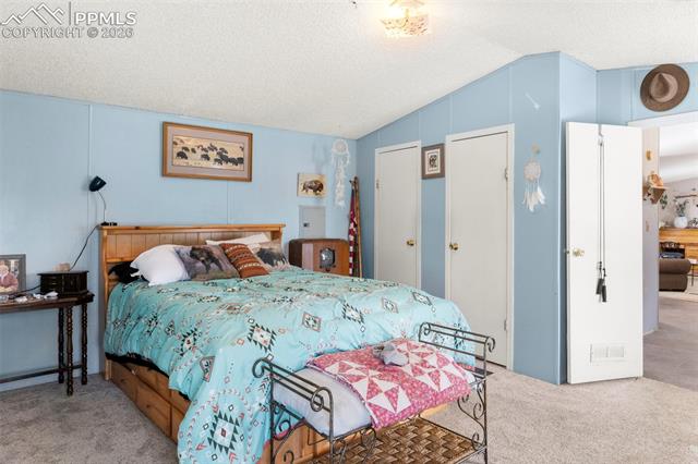 MLS Image for 171  Star View  ,Divide, Colorado