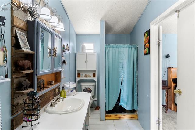 MLS Image for 171  Star View  ,Divide, Colorado