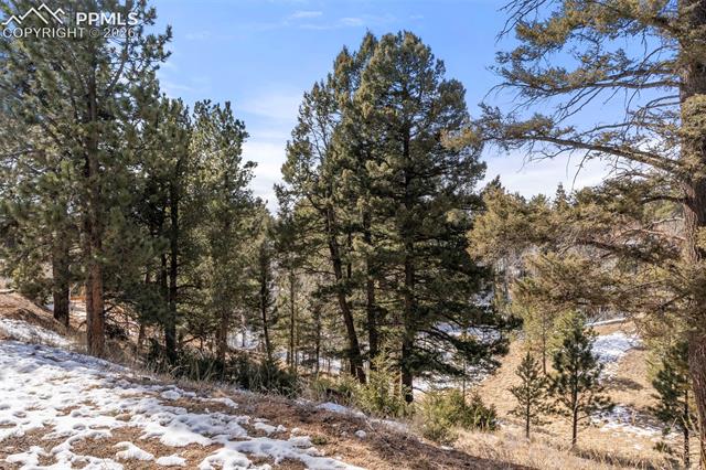 MLS Image for 171  Star View  ,Divide, Colorado