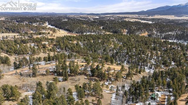 MLS Image for 171  Star View  ,Divide, Colorado