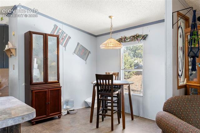 MLS Image for 171  Star View  ,Divide, Colorado