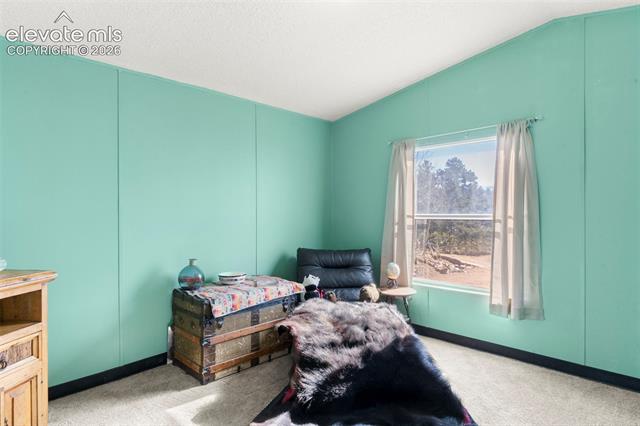 MLS Image for 171  Star View  ,Divide, Colorado
