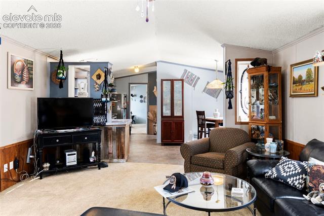 MLS Image for 171  Star View  ,Divide, Colorado