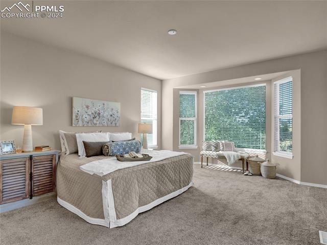 MLS Image for 10715  Rhinestone  ,Colorado Springs, Colorado