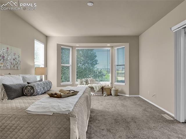 MLS Image for 10715  Rhinestone  ,Colorado Springs, Colorado