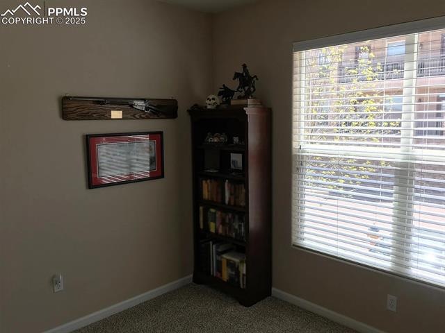 MLS Image for 605  Cougar Bluff  102 ,Colorado Springs, Colorado