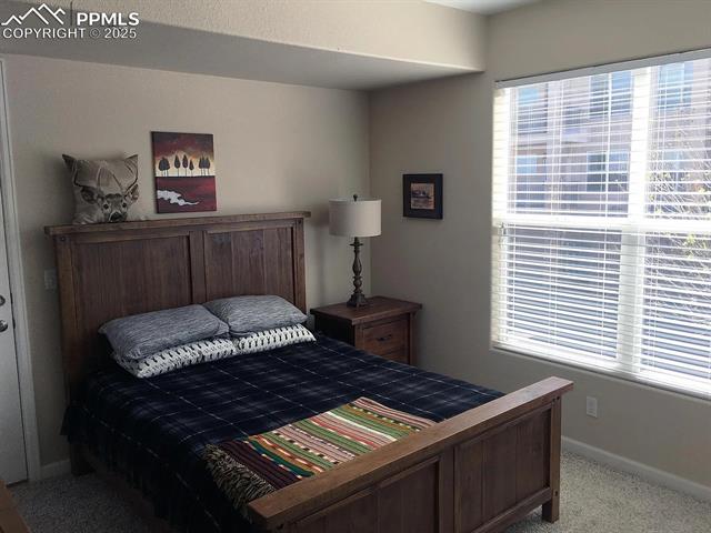 MLS Image for 605  Cougar Bluff  102 ,Colorado Springs, Colorado