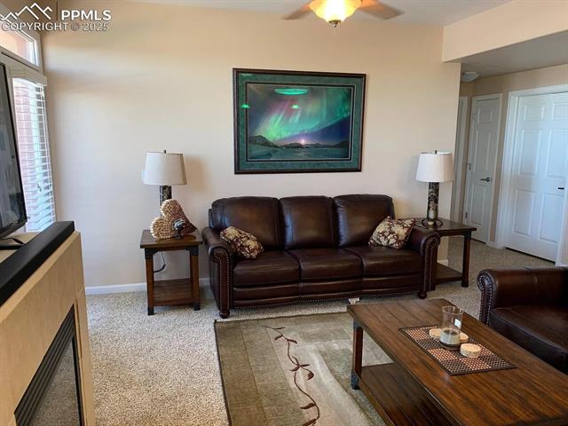 MLS Image for 605  Cougar Bluff  102 ,Colorado Springs, Colorado