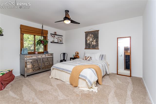 MLS Image for 125  Sunbird Cliffs  ,Colorado Springs, Colorado